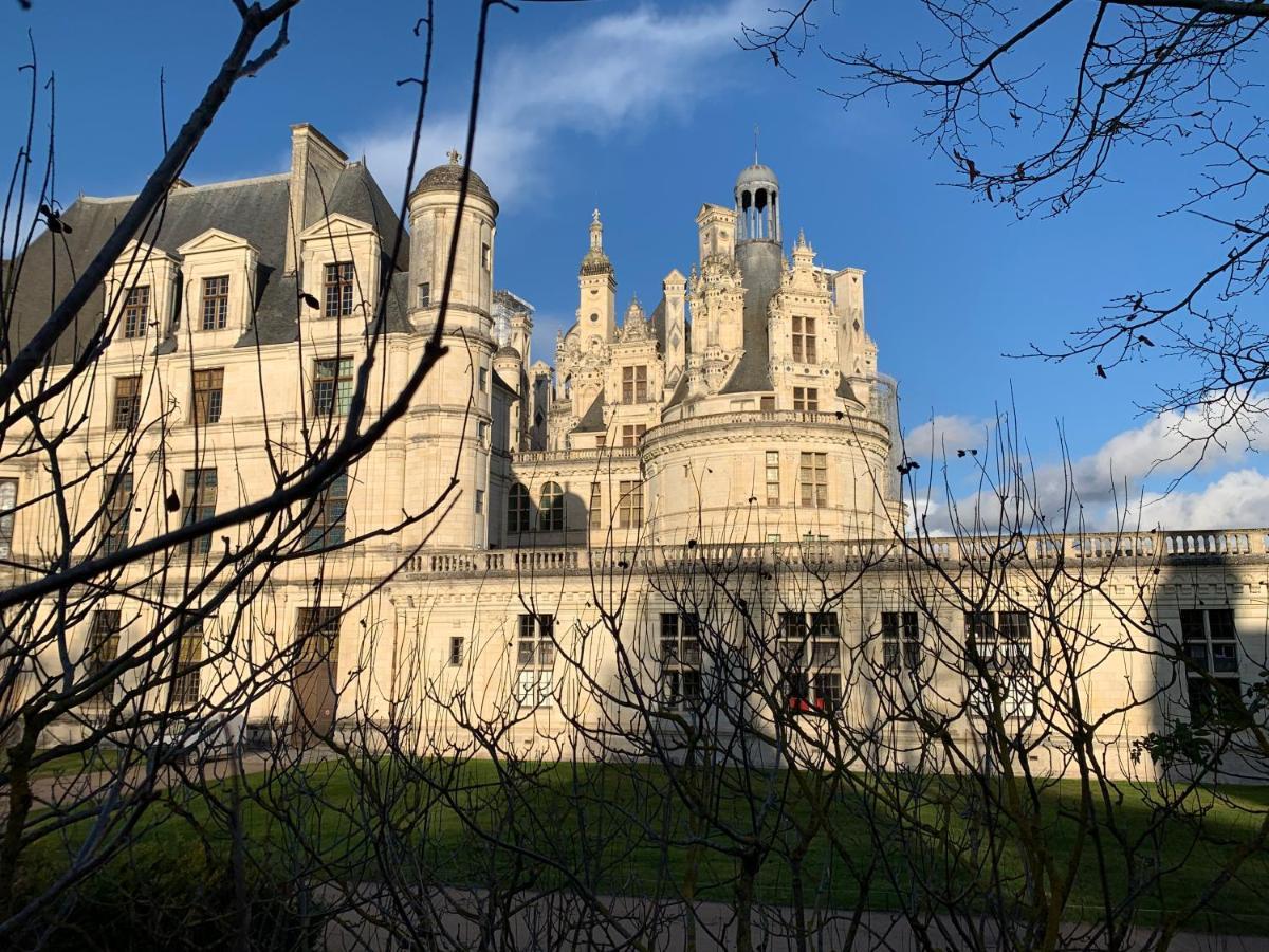Au Coeur Des Chateaux Chambon-sur-Cisse ภายนอก รูปภาพ